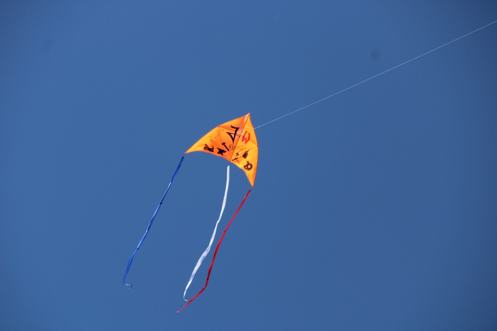 IMG_6467.jpg